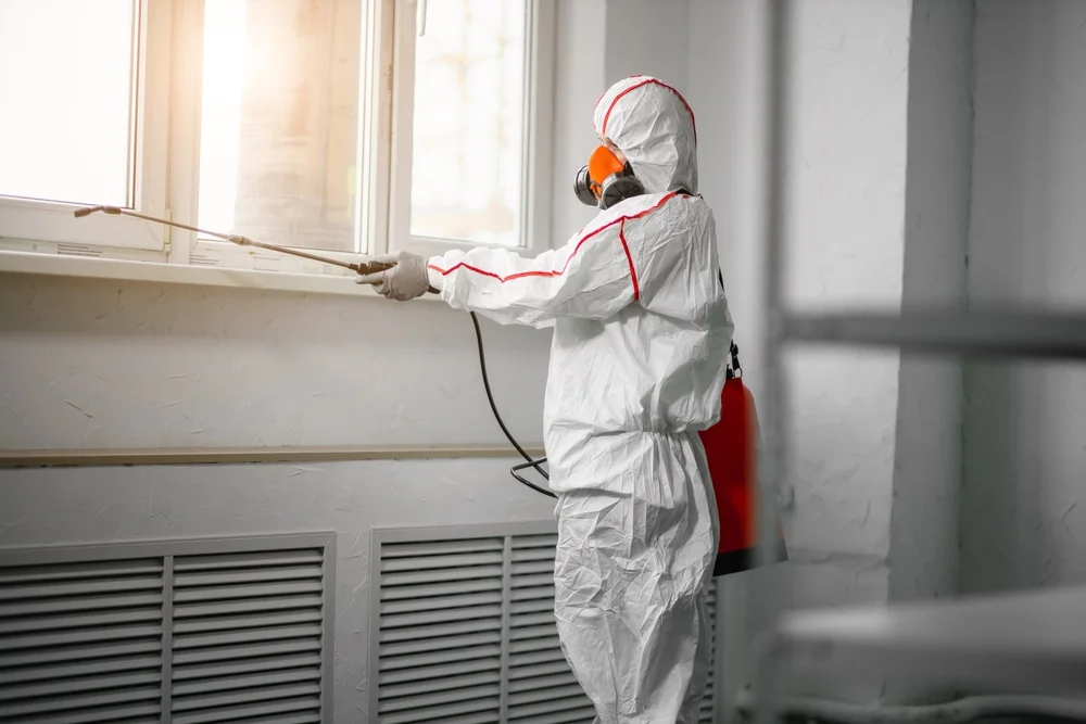 Professional mold remediation services in Algonac, MI